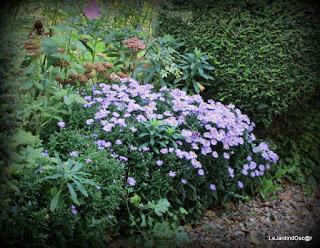 Jardin d'automne...