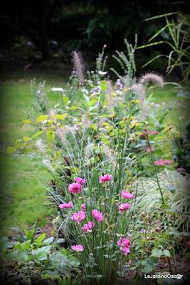 Jardin d'automne...