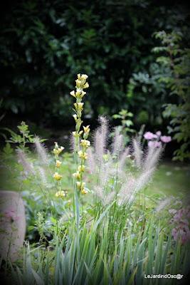 Jardin d'automne...