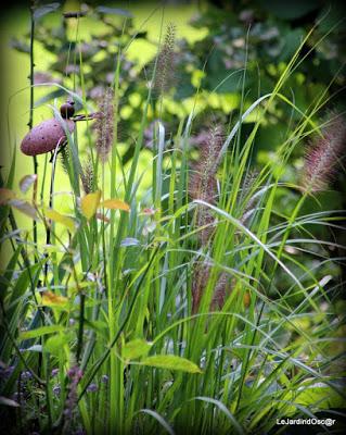 Jardin d'automne...
