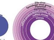 ZIKA: transmission possible larmes sueur? NEJM
