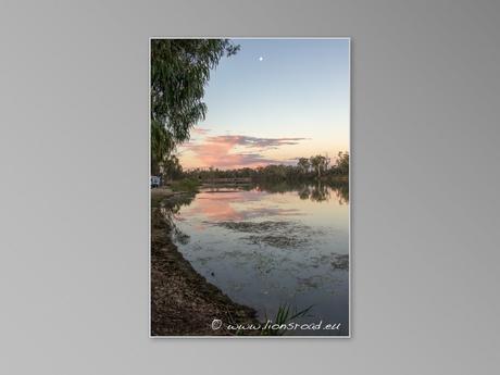 88jours-de-ferme-episode-2-renmark09 loxton freecamp rivière murray river australie