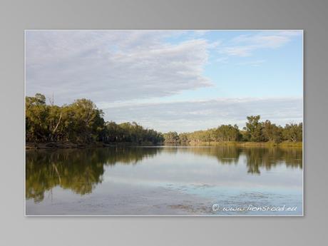 88jours-de-ferme-episode-2-renmark07 renmark nature australie rivière murray river eucalyptus