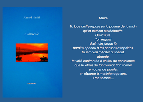 549_ Catalogue Octobre 2016 des Editions Incipit en W