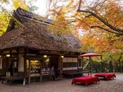 L'automne Japon saison idéale pour tourisme