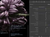 Lightroom Comment être plus précis dans retouches