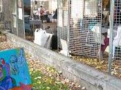 CAUDERANIE: quartier Bordeaux organise rencontre avec habitants l'art