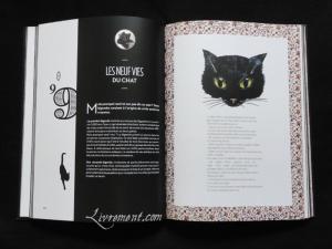 chat-noir-nathalie-semenuik-photo-05