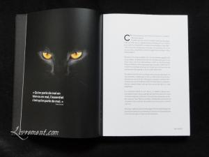 chat-noir-nathalie-semenuik-photo-04