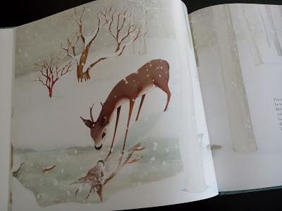 Feuilletage d'albums #24 : spécial AUTOMNE/ FORET : Bambi - Dans la forêt Livre d'activités - Rikimini - Deux drôles de bêtes dans la forêt