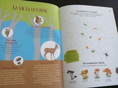 Feuilletage d'albums #24 : spécial AUTOMNE/ FORET : Bambi - Dans la forêt Livre d'activités - Rikimini - Deux drôles de bêtes dans la forêt