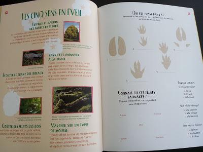 Feuilletage d'albums #24 : spécial AUTOMNE/ FORET : Bambi - Dans la forêt Livre d'activités - Rikimini - Deux drôles de bêtes dans la forêt