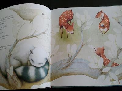 Feuilletage d'albums #24 : spécial AUTOMNE/ FORET : Bambi - Dans la forêt Livre d'activités - Rikimini - Deux drôles de bêtes dans la forêt