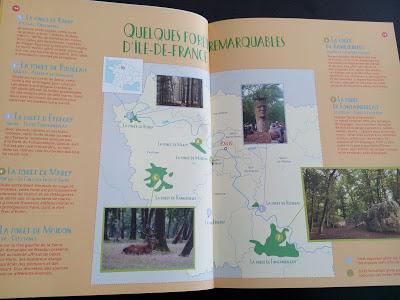 Feuilletage d'albums #24 : spécial AUTOMNE/ FORET : Bambi - Dans la forêt Livre d'activités - Rikimini - Deux drôles de bêtes dans la forêt