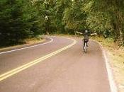 Peter Silberman Transcendless Summer