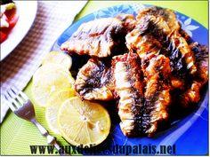 Législatives du 25 novembre 2011 : une cuisine électorale à la marocaine 