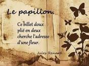 Fleur papillon