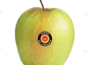 [Podcast] ‘Françoise vous parle Saveurs’ avec variétés Pomme