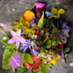 GASTRONOMIE : Le meilleur restaurant de légumes de Flandre