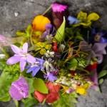 GASTRONOMIE : Le meilleur restaurant de légumes de Flandre