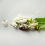 GASTRONOMIE : Le meilleur restaurant de légumes de Flandre
