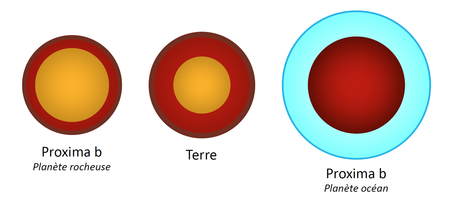 Comparaison des deux cas extrêmes obtenus pour Proxima b avec la Terre. Ce schéma montre la structure interne de chaque planète. De gauche à droite : Proxima b avec le plus petit rayon atteignable (65 % de noyau métallique, entouré d’un manteau rocheux séparé en deux phases), la Terre (idem avec 32,5 % de noyau), et Proxima b avec le plus grand rayon autorisé (50 % de manteau rocheux entouré d’une couche d’eau sous forme solide puis liquide) — Crédit : CNRS