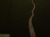 Galerie MOISAN exposition René SCHLOSSER Glanures jusqu’au Octobre 2016