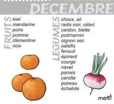 Blog de cuisine de l'AMAP Belles Fontaines de la vallée Recettes de saison