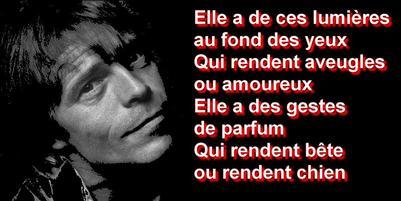 Afficher l'image d'origine