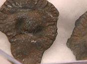 Poitiers professeur Albani fait reculer curseur terre