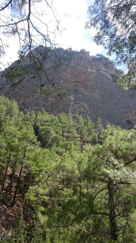 Randonnée dans les Gorges de Samaria