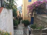 Trail de Collioure : entre Mer et Montagne