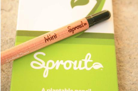 Découverte : Des crayons au nom rigolo et écolos. Sprout !