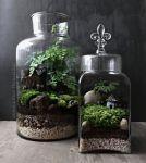 #Inspiration // On adopte les terrariums pour une déco toujours plus verte