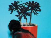 Sunlit Youth, Local Natives jeunesse pleine lumière