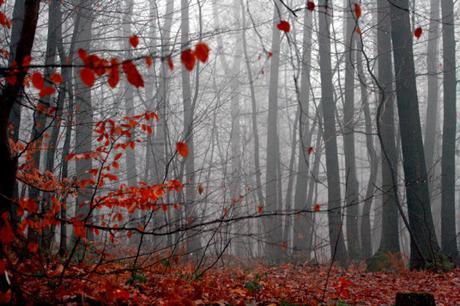 Autumn list
