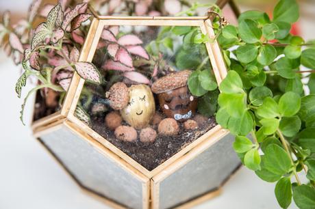 DIY \ Mr & Mme Automne (vidéo) DIY \ Mr & Mme Automne (vidéo)