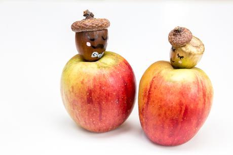 DIY \ Mr & Mme Automne (vidéo) DIY \ Mr & Mme Automne (vidéo)