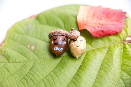 DIY \ Mr & Mme Automne (vidéo) DIY \ Mr & Mme Automne (vidéo)