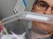 ANTI-VIEILLISSEMENT: médicaments coupent radicaux libres racine Cell Metabolism