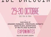 Violette Sauvage vide-dressing géant débarque Nantes