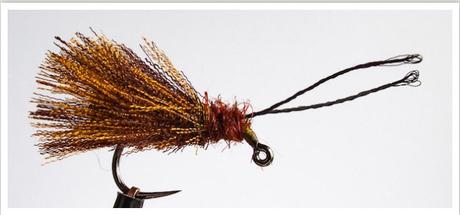 Eat, Sleep, Fish #58