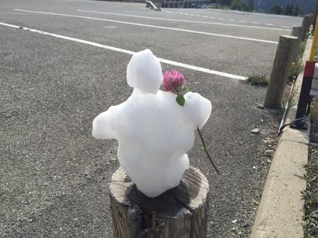 Bonhomme de glace avec une fleur