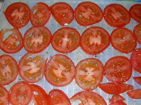 Tomates7