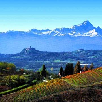 Angelo Gaja, faiseur de (grands) vins 1542932623.jpg