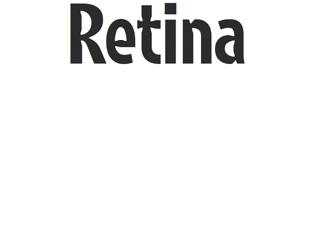 15 ans de travail pour le Retina