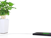 Bioo lite chargeur utra-écolo