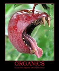 organic food without pesticides