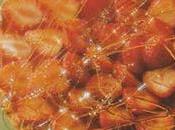 Tarte lait fraises gariguettes