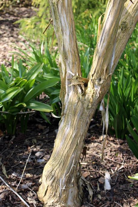 Le Domaine Ooievaar à Bellegem